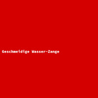 Geschmeidige Wasser-Zange