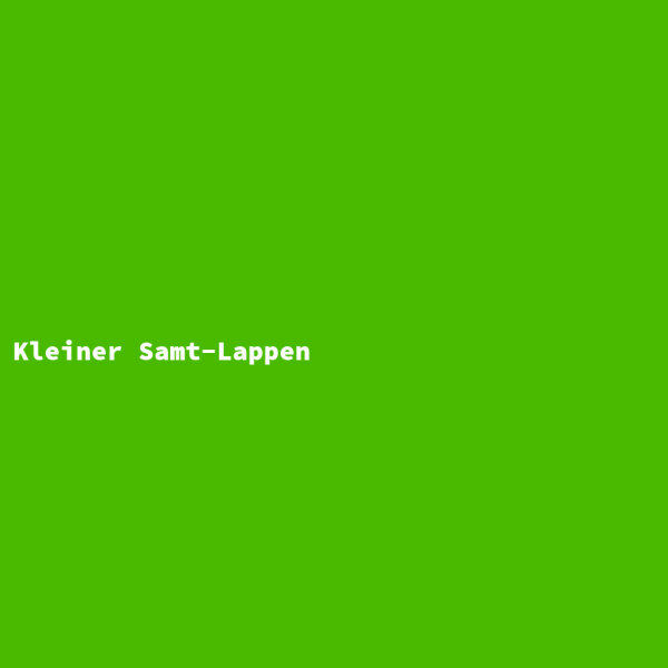 Kleiner Samt-Lappen